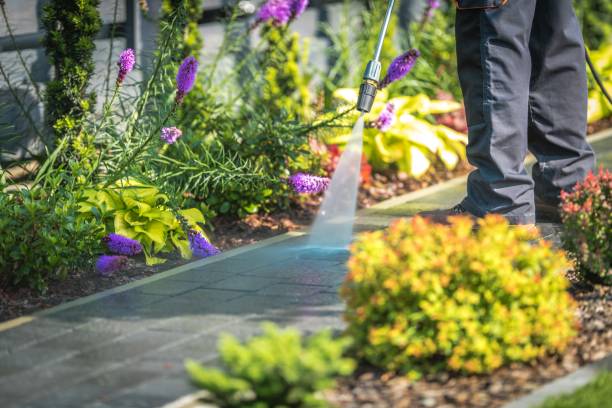Best Sidewalk and Walkway Cleaning  in Massapequa Park, NY